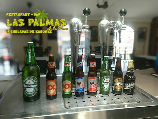 Las Palmas de la Piña, Josefa Ortiz de Dominguez #15 Altos, Centro, 73310 Zacatlán, Pue., México, Bar restaurante | PUE