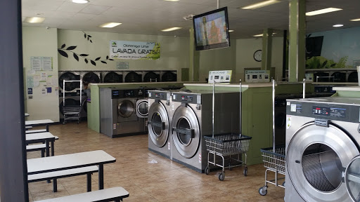 Laundromat «Fair Oaks Laundry», reviews and photos, 1343 N Fair Oaks Ave, Pasadena, CA 91103, USA