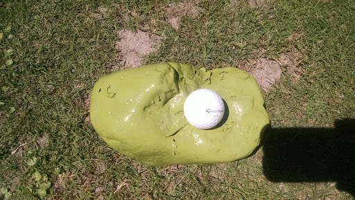 Golf Course «The Claw at USF», reviews and photos, 13801 N 46th St, Tampa, FL 33613, USA