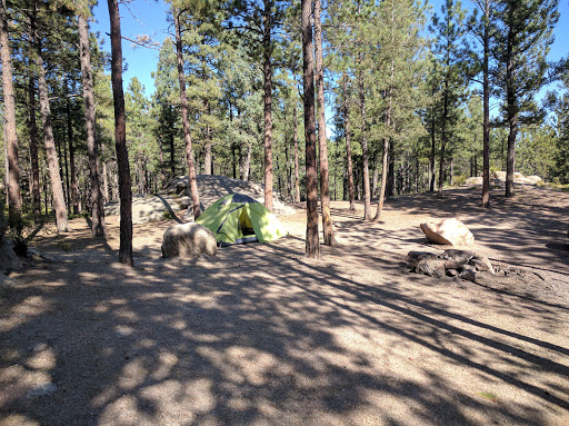 Campground «Buffalo Campground», reviews and photos, Forest Rd 550, Pine, CO 80470, USA