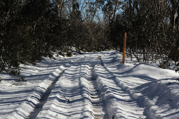 snow on mount franklin road