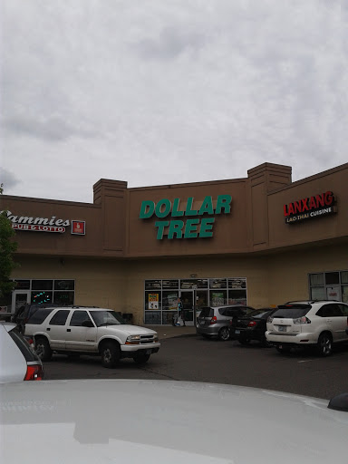 Dollar Store «Dollar Tree», reviews and photos, 5080 Commercial St SE, Salem, OR 97306, USA