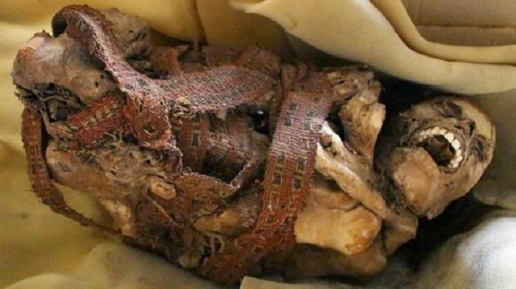 Ancient mummy found in cardboard box by cleaners in Peru Ancient mummy found in cardboard box by cleaners in Peru