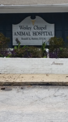 Animal Hospital «Wesley Chapel Animal Hospital», reviews and photos