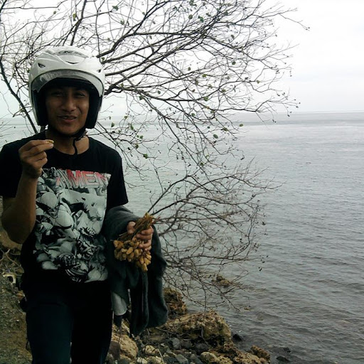 Banyuwangi Seru