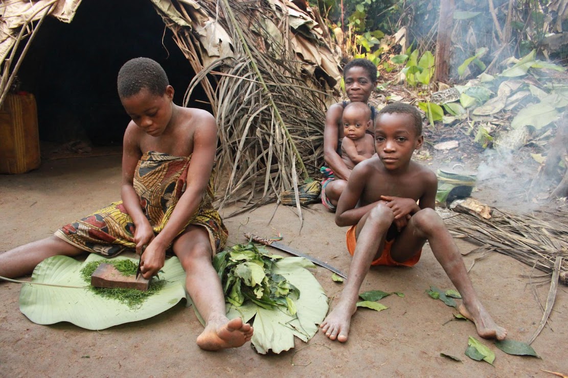 Tracing the path of pygmies' shared knowledge of medicinal plants Tracing the path of pygmies' shared knowledge of medicinal plants