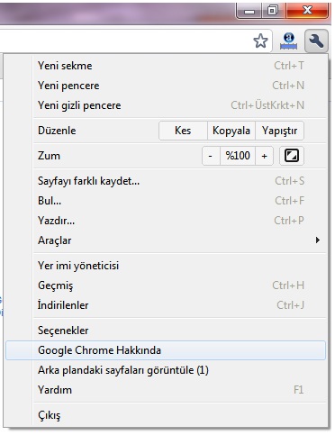 google chrome 10 0 648 205 guncelleme google chrome indir
