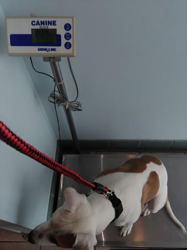 Veterinarian «Hilltop Animal Clinic», reviews and photos