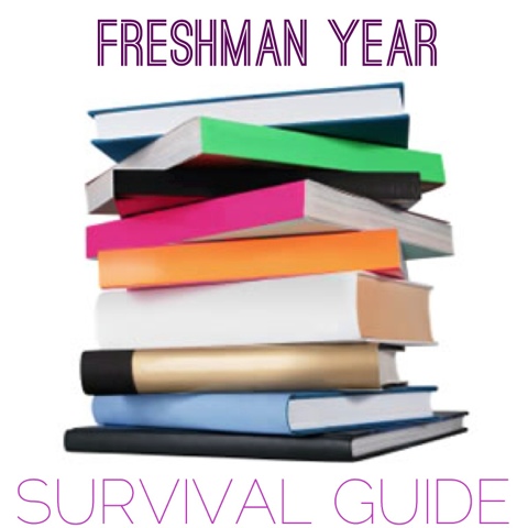 my freshman year of highschool essay my freshman year of highschool essay