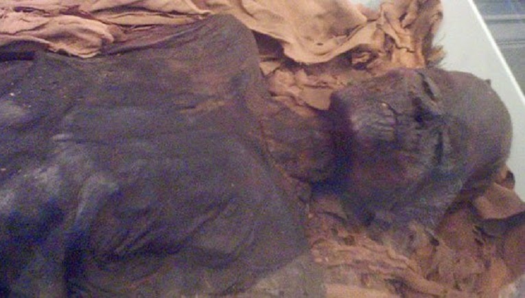 Egyptian police recover looted royal mummy Egyptian police recover looted royal mummy