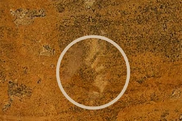 Aboriginal cave art 'only few years old' Aboriginal cave art 'only few years old'