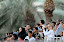 Sharjah-UAE- 10 december 2010- The race of the F1 Grand Prix of Sharjah UAE in the Khaleed Lagoon. Final results are: winner Hamed Al Hameli Abu Dhabi Team, second position for Sami Selio Mad Croc F1 Team and third Alex Carella Mad Croc F1 Team. Picture by Vittorio Ubertone/Idea Marketing Sharjah-UAE- 10 december 2010- The race of the F1 Grand Prix of Sharjah UAE in the Khaleed Lagoon. Final results are: winner Hamed Al Hameli Abu Dhabi Team, second position for Sami Selio Mad Croc F1 Team and third Alex Carella Mad Croc F1 Team. Picture by Vittorio Ubertone/Idea Marketing