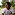 sagar