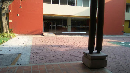 El Colegio De Michoacán, Martínez de Navarrete 505, Las Fuentes, 59699 Zamora, Mich., México, Escuela universitaria | MICH