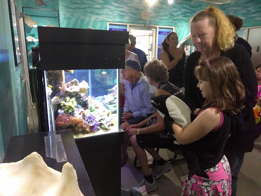 Aquarium «St. Lucie County Aquarium», reviews and photos, 420 Seaway Dr, Fort Pierce, FL 34949, USA