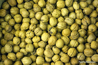 Walnuts http://indiafoodtour.com  http://foodtourindelhi.com
