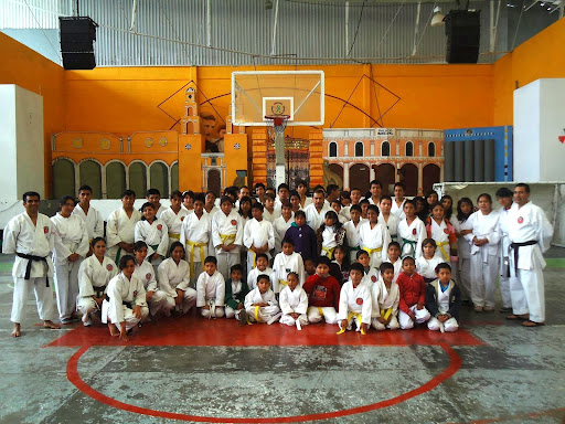 Escuela Karatedo Shotokan en el estado de Tlaxcala, Xicohtencatl 9, Centro, 90200 Calpulalpan, Tlax., México, Escuela de karate | TLAX