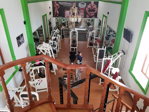 Master Gym, 37980, Hernández Álvarez 59, Loma del Cerrito, San José Iturbide, Gto., México, Gimnasio | GTO