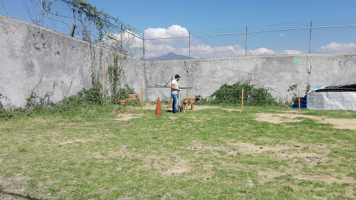 Escuela Canina Especializada, Calle Cerezo 38, La Soledad -ampliacion-, Morelia, Mich., México, Entrenador de mascotas | MICH