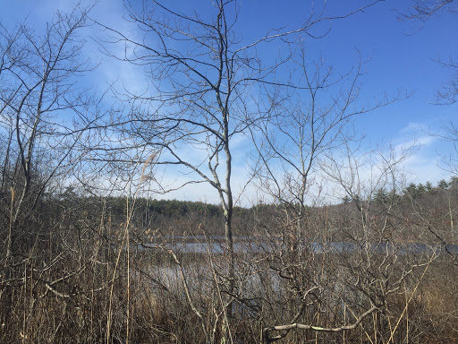 Hiking Area «Stony Brook Reservation», reviews and photos, Turtle Pond Pkwy, Hyde Park, MA 02136, USA
