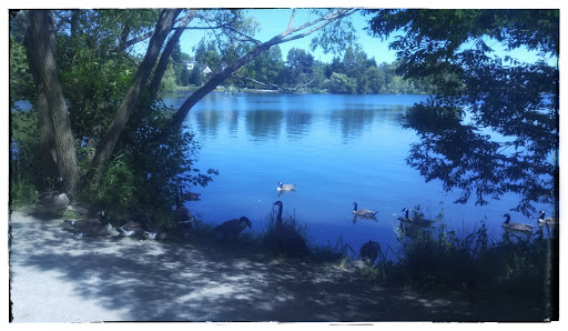 Park «Green Lake Park», reviews and photos, 7201 East Green Lake Dr N, Seattle, WA 98115, USA