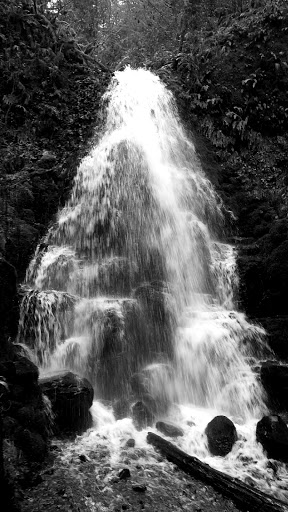 Tourist Attraction «Fairy Falls», reviews and photos, Wahkeena Trail #420, Corbett, OR 97019, USA