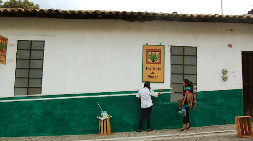 Instituto del Rincón AC, Morelos 124, Sta Maria, 52440 Malinalco, Méx., México, Organización sin ánimo de lucro | EDOMEX
