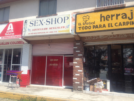 Sex-Shop, José López Portillo 702, Centro, 50000 Toluca de Lerdo, Méx., México, Sex shop | EDOMEX