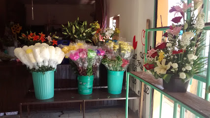 Florería Perlita