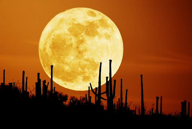 Fenomena Supermoon 2011, Malam ini, 19 maret 2011, Lunar Perigee, supermoon peristiwa langka, 18 tahun sekali, purnama, terkait, bencana