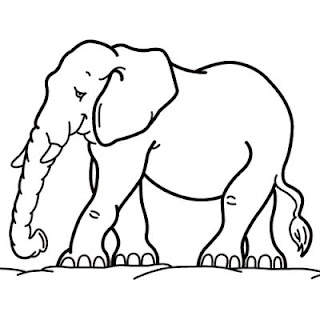 Creatures, Wild Animals Free Colouring Pages from - wild animal coloring pages printable