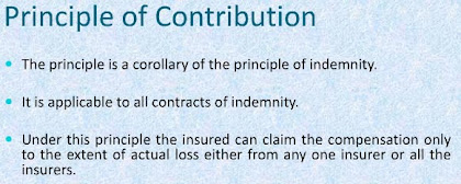 principle of contribution