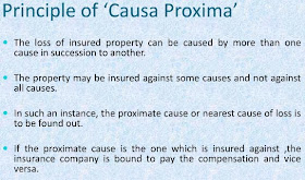 principle of causa proxima