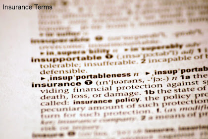 Insurance Terms, Glossary and Dictionary - Terms of Insurance