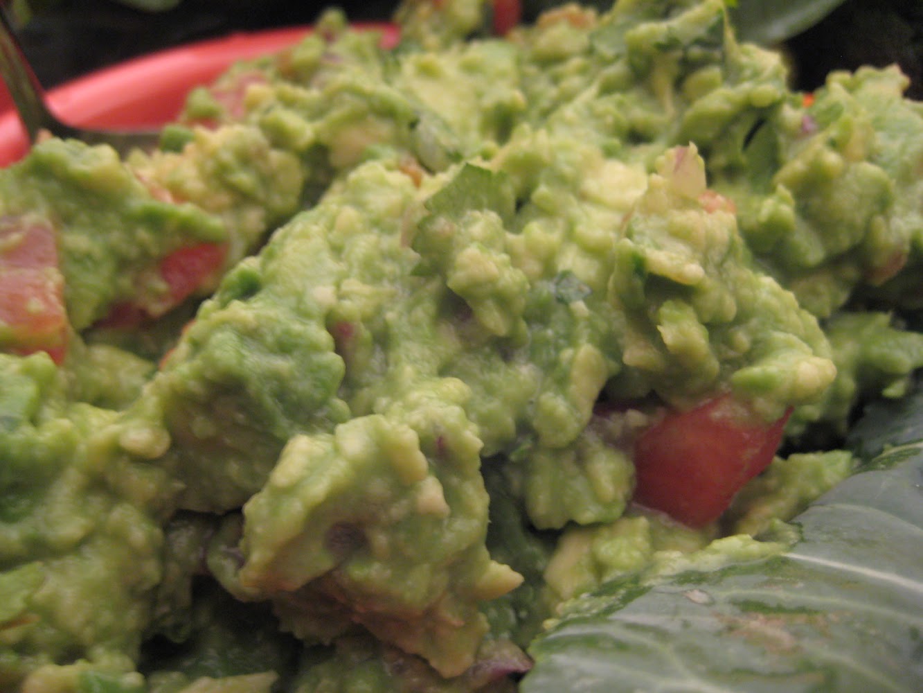 RAW RECIPE (photos)