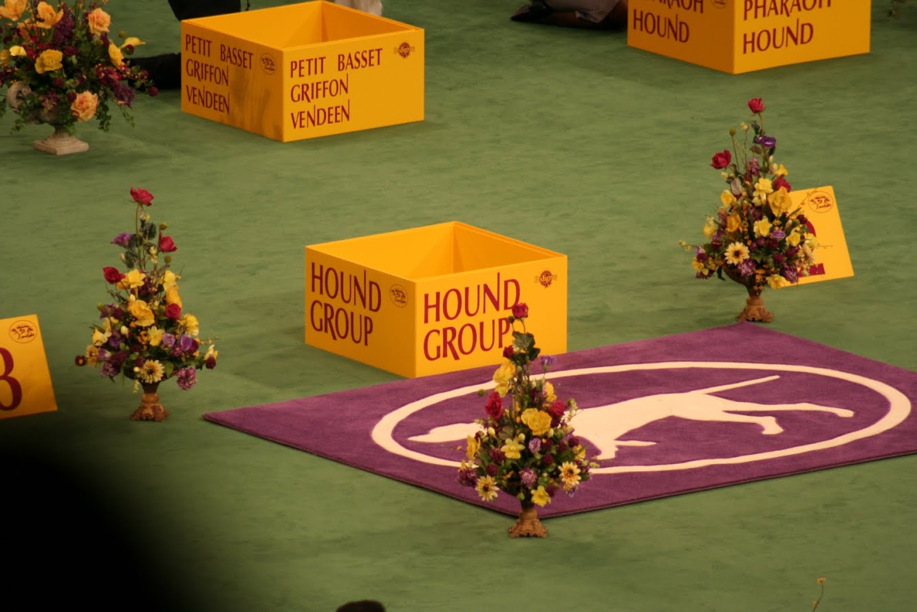 Day 1 of Westminster Kennel Club - The History