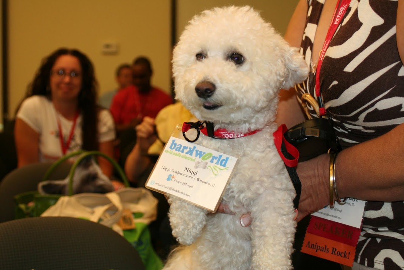 Pictures from #BarkWorld