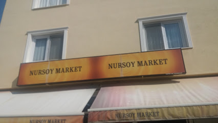 Nursoy Market