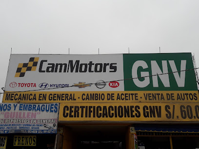 Cam Motors