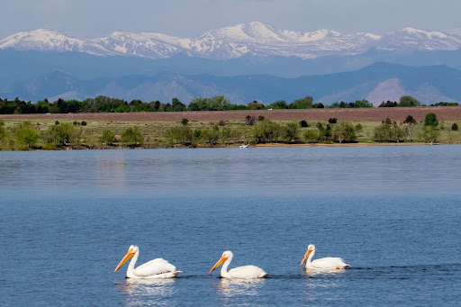 State Park «Cherry Creek State Park», reviews and photos, 4201 S Parker Rd, Aurora, CO 80014, USA