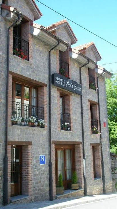 Hotel Peña Castil