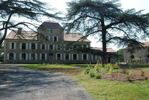 Château de Maumusson à Maumusson-Laguian