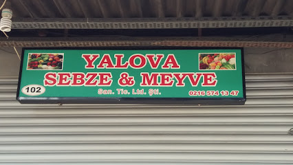 Yalova Sebze & Meyve
