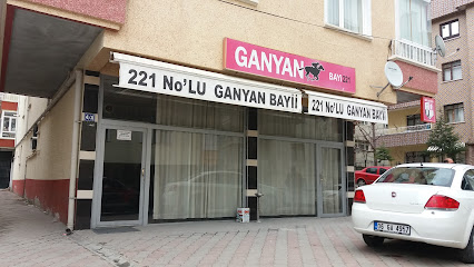Ganyan Bayi-221