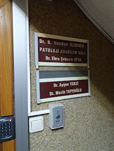 Başkent Üniversitesi Hastanesi Patoloji Ana Bilim Dalı Başkanlığı