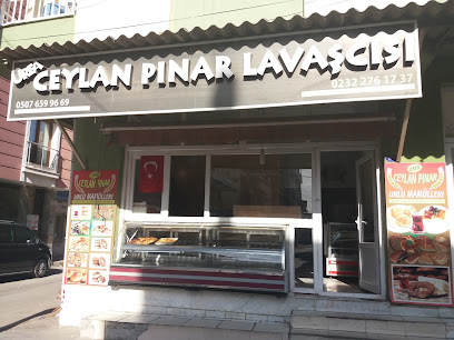 Urfa Ceylan Pınar Lavaşçısı