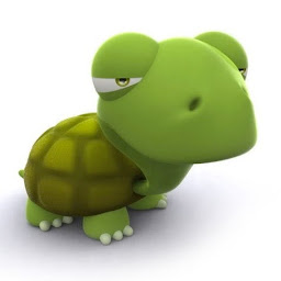 turtle101 Avatar