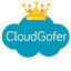 Admin CloudGofer's user avatar