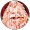 Pizza Mampf