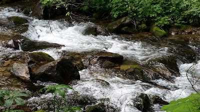 Photos of Ufficio Turistico Informazioni Campitello di Fassa - ApT Val di Fassa